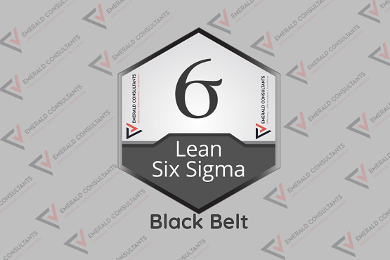 Lean Black Belt