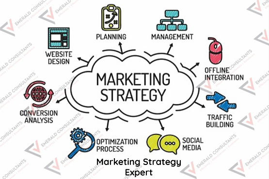 Marketing Strategy Expert (1)