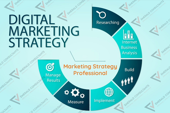 Marketing Strategy Professional