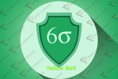 Six Sigma Yellow Belt